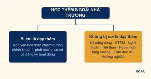 Sơ đồ phân loại học thêm ngoài nhà trường theo quy định mới
